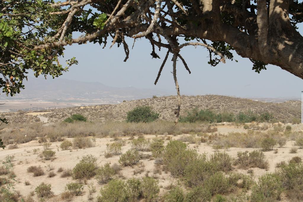 הוילה Casa Alegria Mazarrón מראה חיצוני תמונה